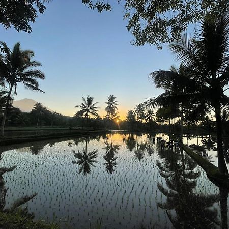 Tereng Wilis Bungalows Tetebatu Exteriör bild