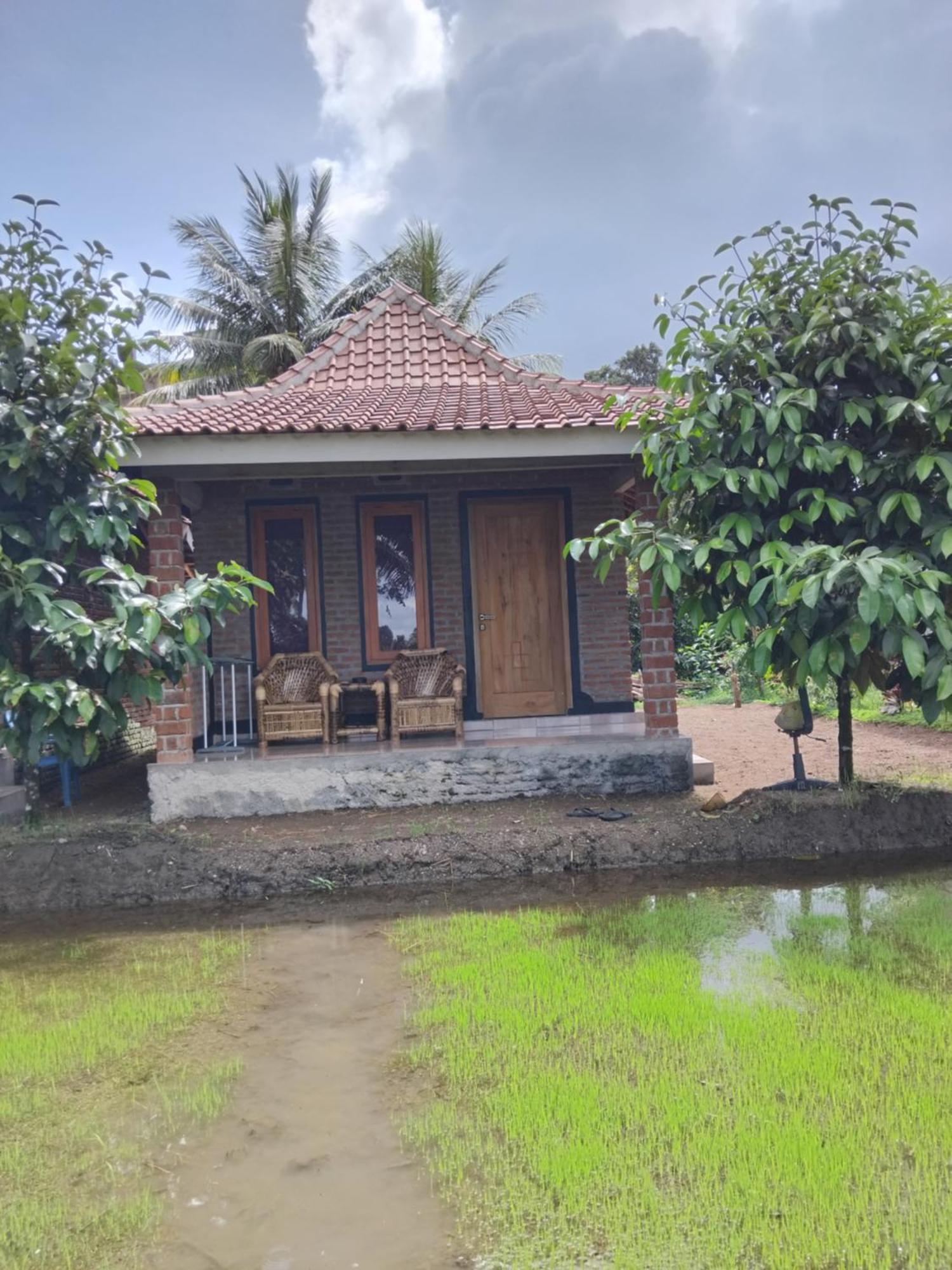 Tereng Wilis Bungalows Tetebatu Exteriör bild