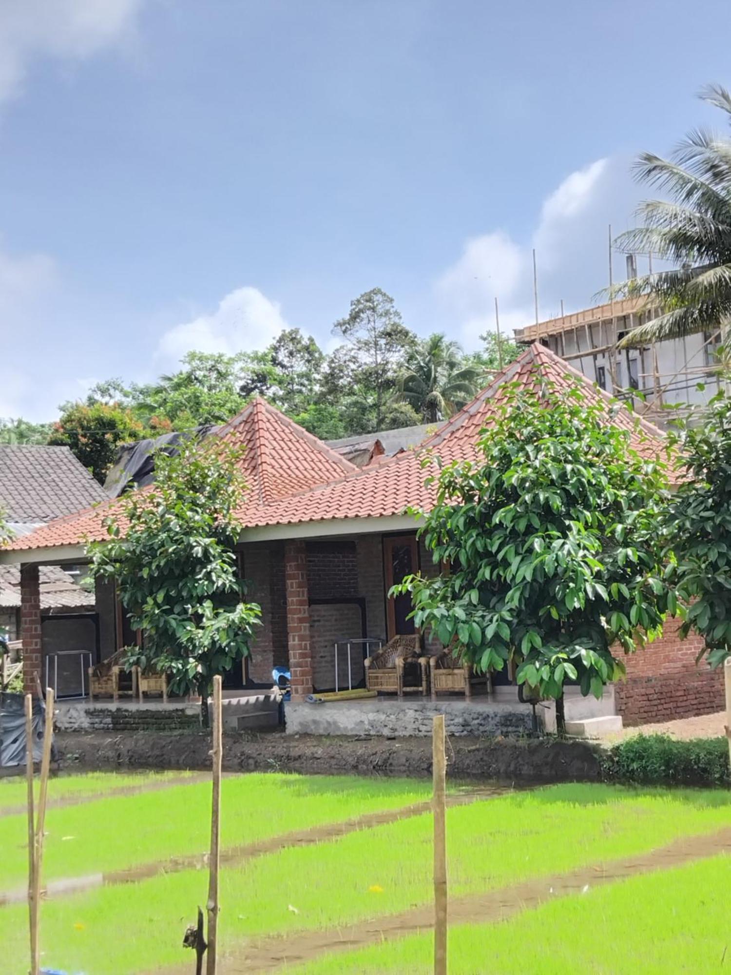 Tereng Wilis Bungalows Tetebatu Rum bild
