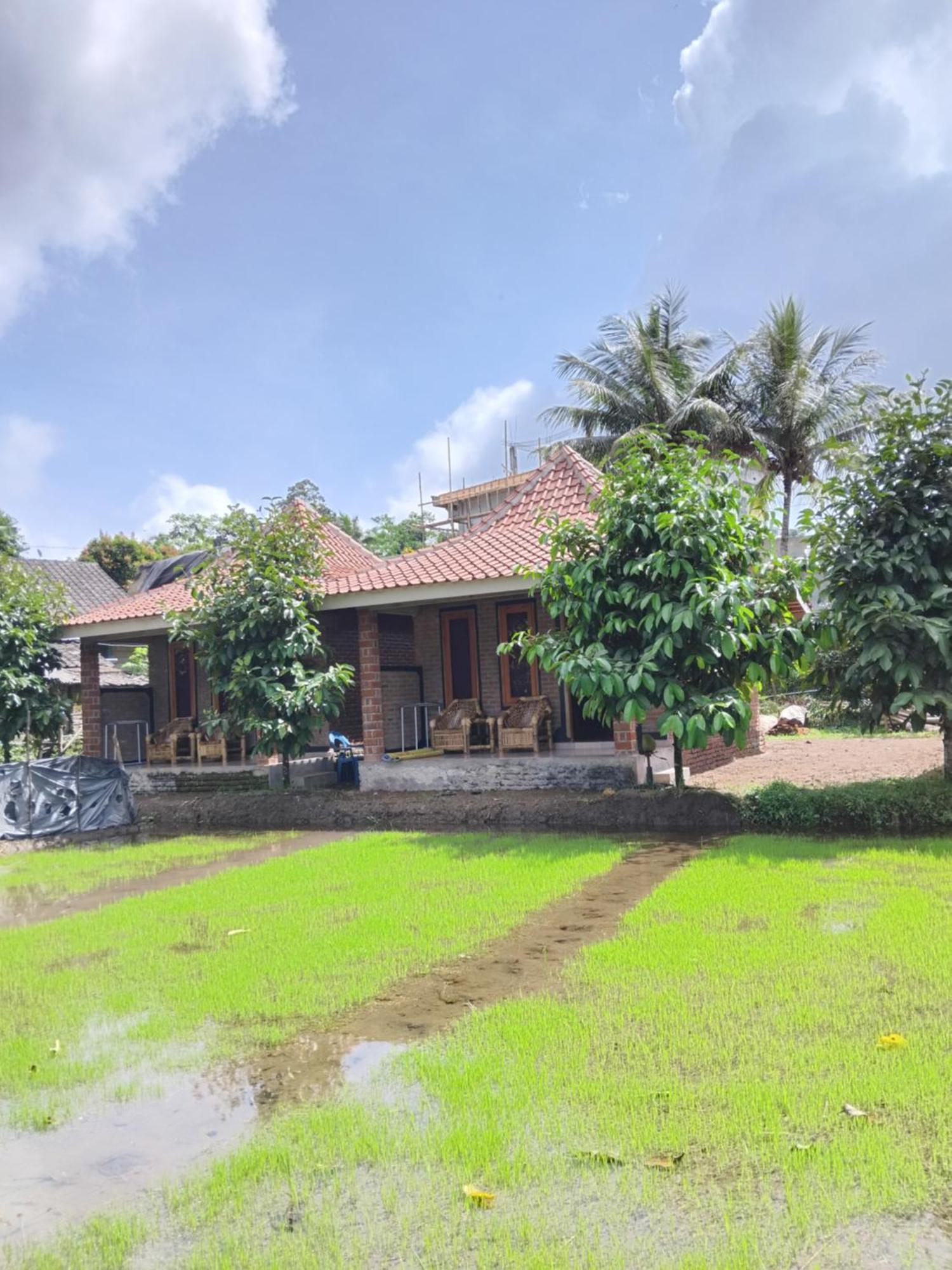 Tereng Wilis Bungalows Tetebatu Exteriör bild