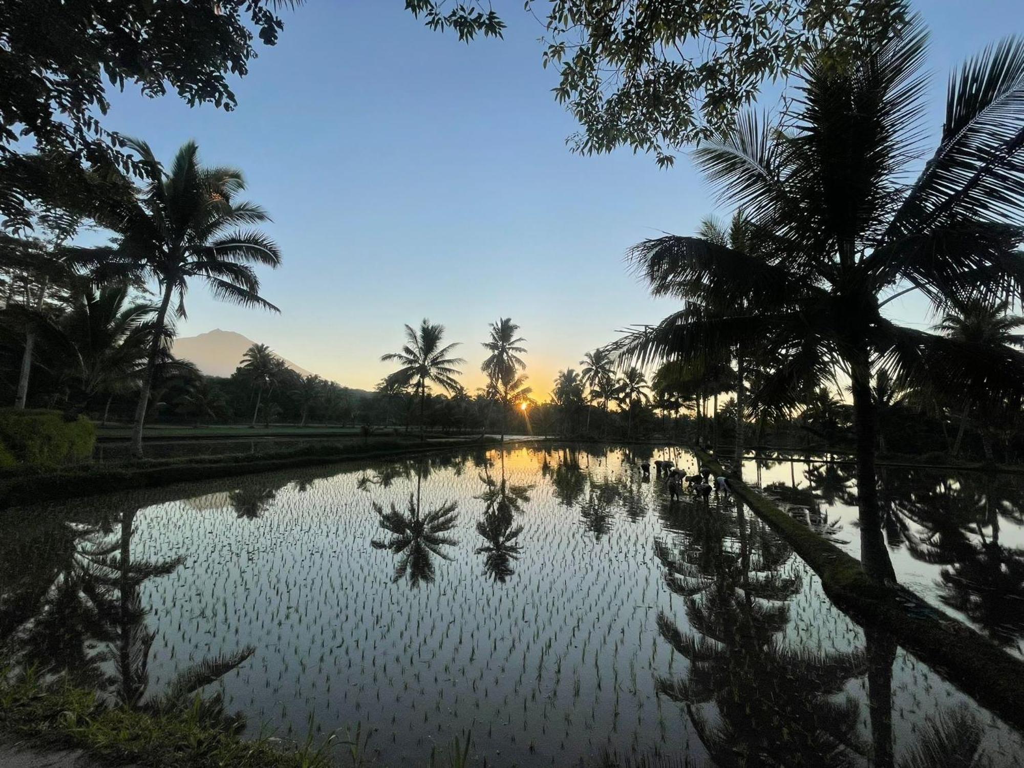 Tereng Wilis Bungalows Tetebatu Exteriör bild