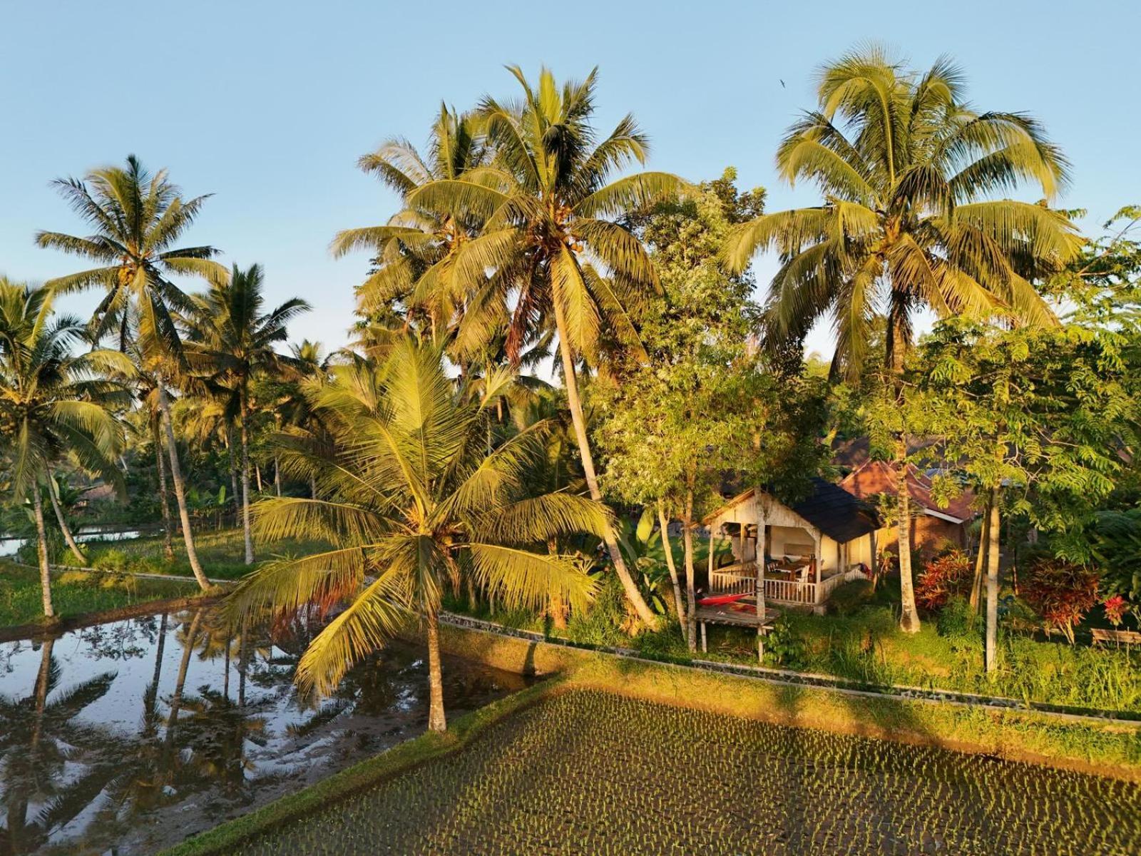Tereng Wilis Bungalows Tetebatu Exteriör bild