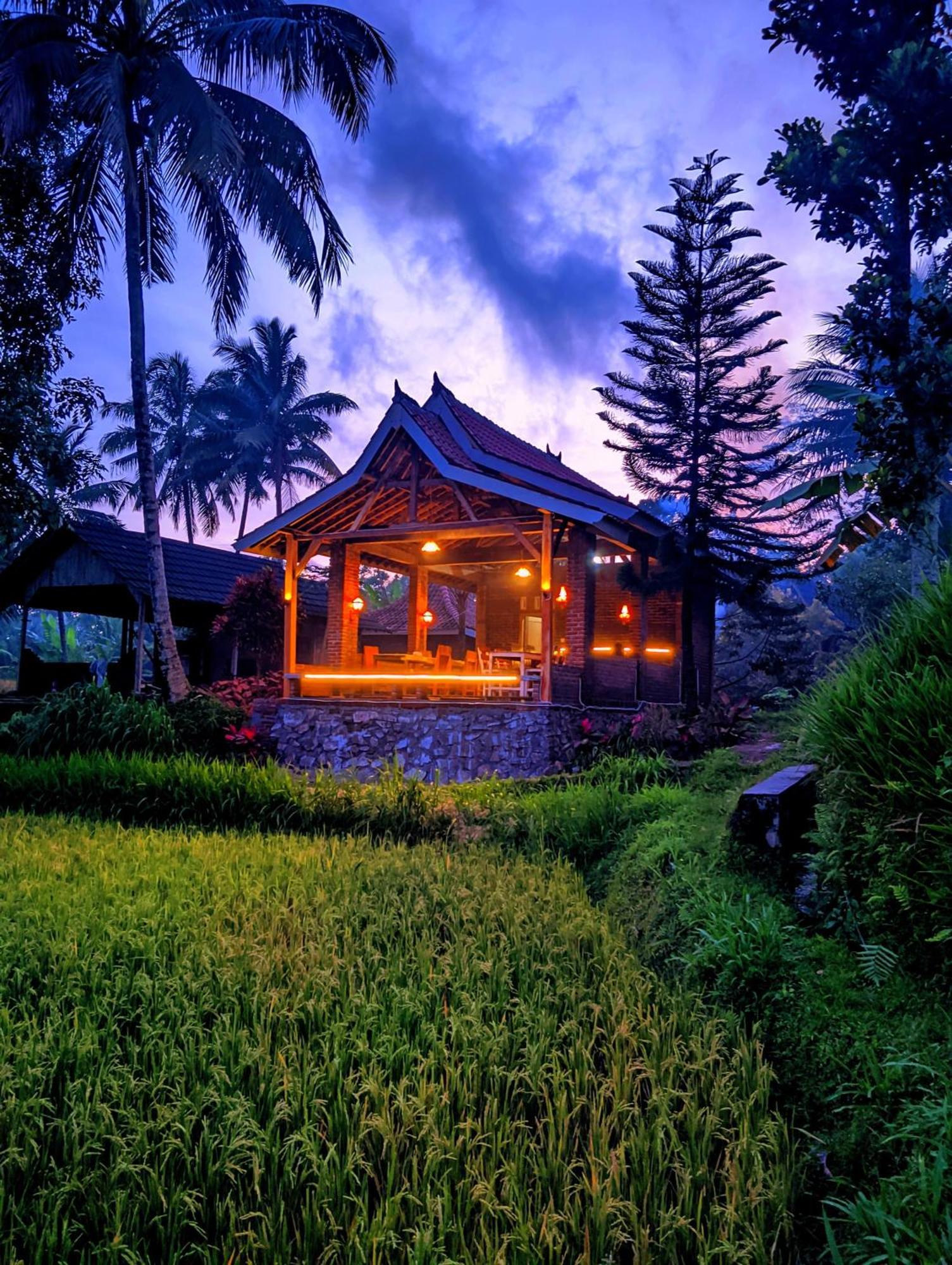 Tereng Wilis Bungalows Tetebatu Exteriör bild