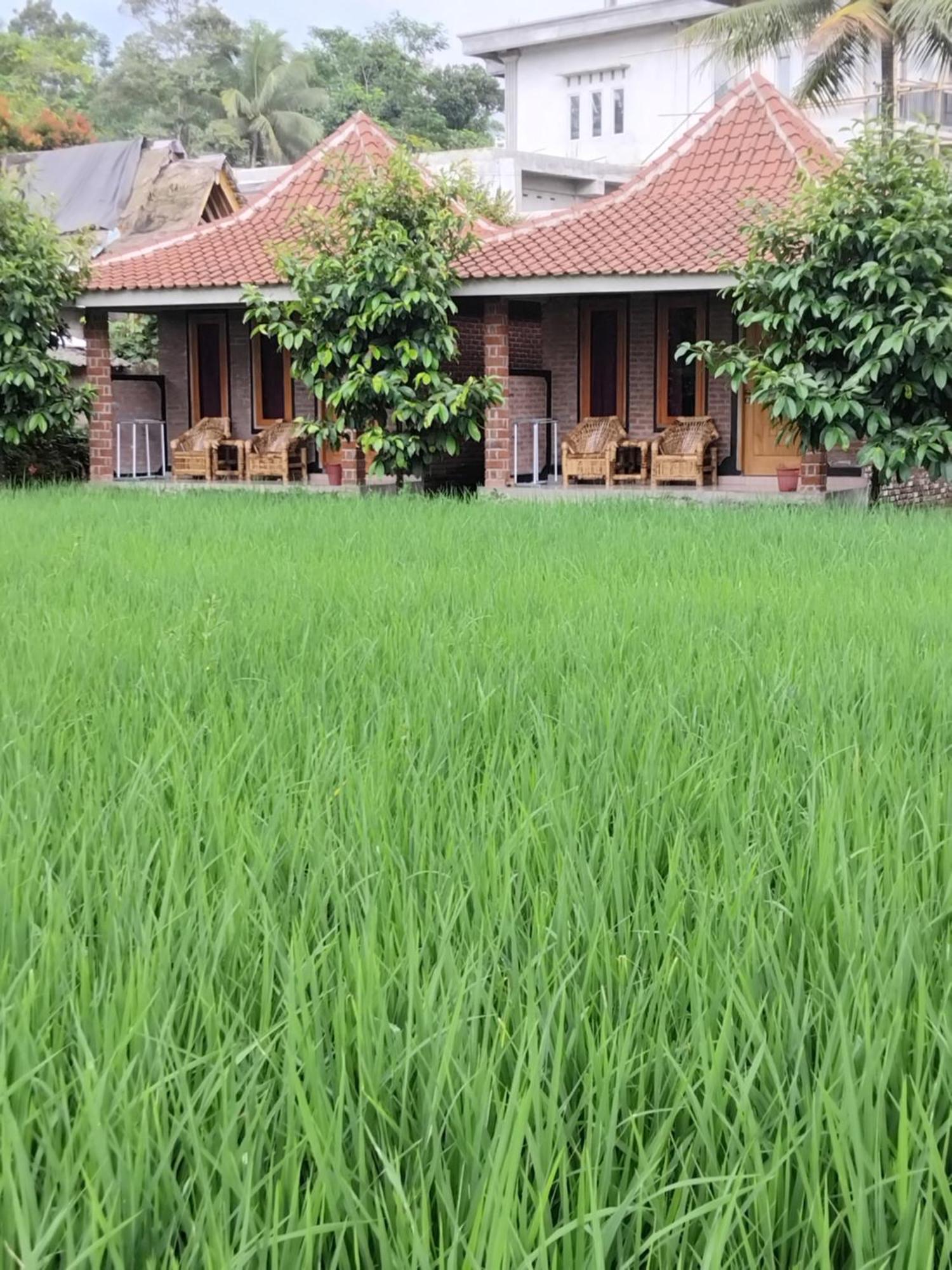 Tereng Wilis Bungalows Tetebatu Exteriör bild