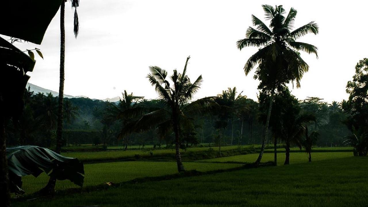Tereng Wilis Bungalows Tetebatu Exteriör bild