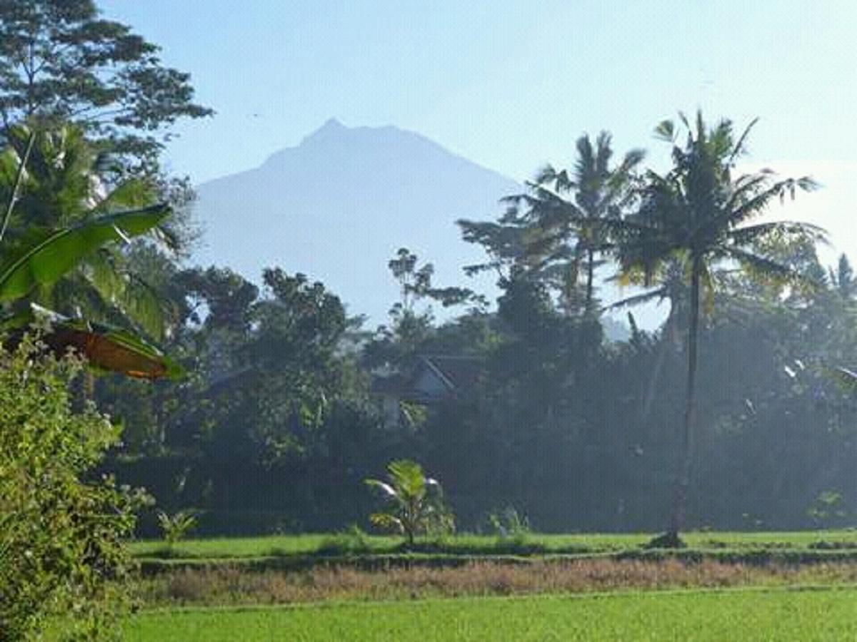 Tereng Wilis Bungalows Tetebatu Exteriör bild