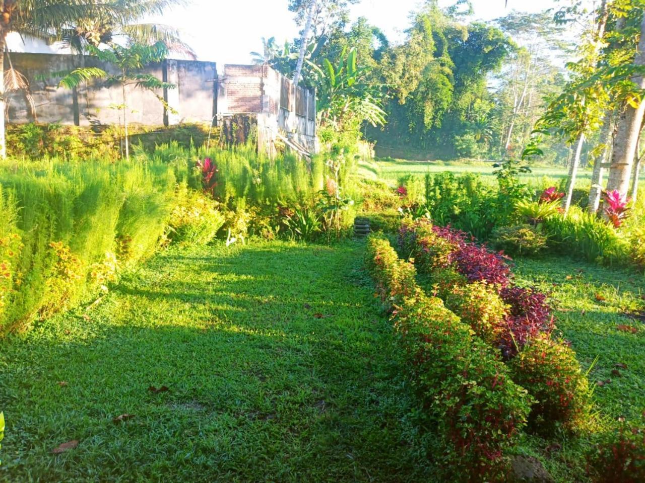 Tereng Wilis Bungalows Tetebatu Exteriör bild