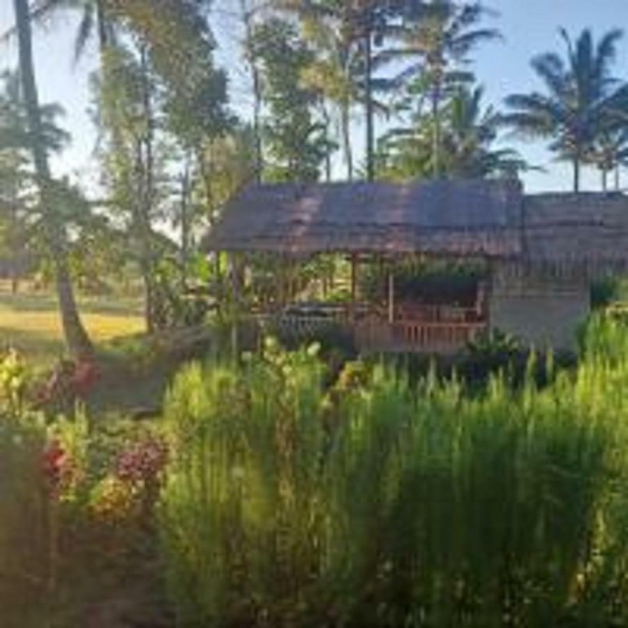 Tereng Wilis Bungalows Tetebatu Exteriör bild