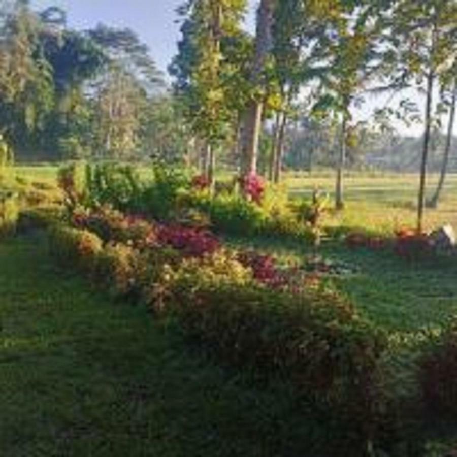 Tereng Wilis Bungalows Tetebatu Exteriör bild
